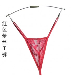 Sheer Embroidered Mesh T-Back G-String - Women's See-Underwear